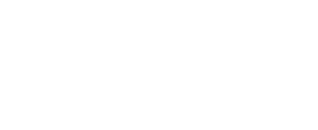 Maimag
